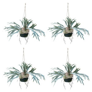 lHϗtA rJNV_ nMO{[ 46i4j991620 ݂邵^Cv nLOO[ CeA tFCNO[  HANGING ip123j