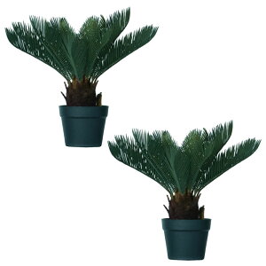 lHϗtA \ec |bg 43i2j991880 ϗtA A^̏uTCY CeA tFCNO[  POT INDOOR ip91j