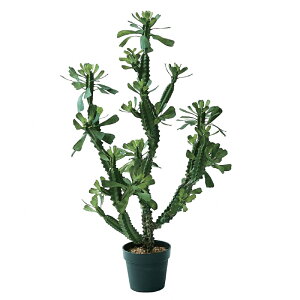 lHϗtA [tHrA |bg 112i1j991910 T{e rOAxeTCY CeA tFCNO[  CACTUS ip115j