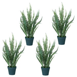 lHϗtA {Xgt@[ |bg 56i4j991990 V_A A^̏uTCY CeA tFCNO[  POT INDOOR ip76j