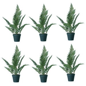 lHϗtA t@[ |bg 56i6j992000 V_A A^̏uTCY CeA tFCNO[  POT INDOOR ip77j