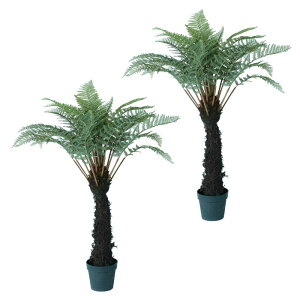 lHϗtA fBN\jA |bg 122i2j992010 V_A rOAItBXTCY CeA tFCNO[  GARDEN PLANT ip55j