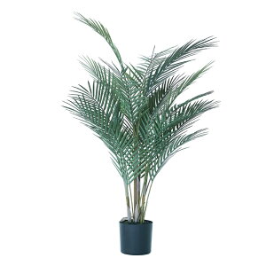 lHϗtA AJV |bg 90i1j992151 ϗtA ȕTCY CeA tFCNO[  GARDEN PLANT ip50j