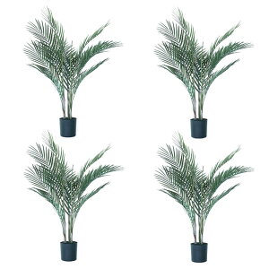 lHϗtA AJV |bg 70i4j992160 ϗtA ȕTCY CeA tFCNO[  GARDEN PLANT ip50j