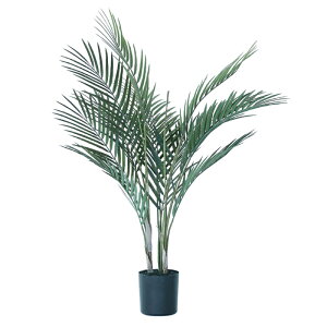 lHϗtA AJV |bg 70i1j992161 ϗtA ȕTCY CeA tFCNO[  GARDEN PLANT ip50j