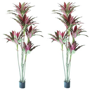 lHϗtA hZi |bg 180 p[vi2j992320 ؃|bg ցALԃTCY CeA tFCNO[ GARDEN PLANT ip61j