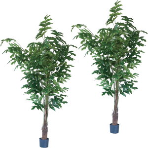 lHϗtA NWNV |bg 210i2j992350 ؃|bg ցALԃTCY CeA tFCNO[  GARDEN PLANT ip45j