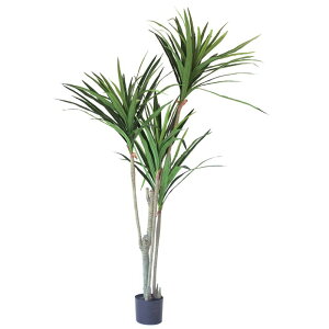 lHϗtA bJ |bg 160i1j992361 ؃|bg ցALԃTCY CeA tFCNO[  GARDEN PLANT ip63j