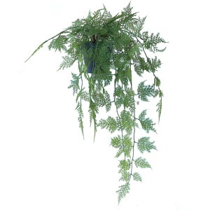 人工観葉植物 アスパラガス ポット 63(1個入り)992421 観葉植物 床置きの小さいサイズ インテリア フェイクグリーン 造花POT INDOOR (p81)