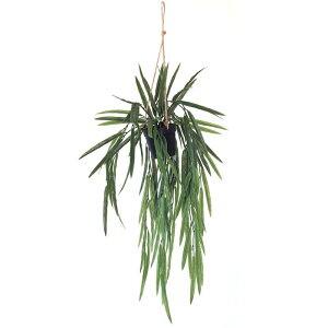 lHϗtA vTXBL nMO |bg 86i1j992441 ݂邵^Cv nLOO[ CeA tFCNO[  HANGING ip129j