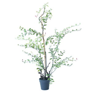 lHϗtA Cx[ |bg 105i1j992511 ؃|bg rOAxeTCY CeA tFCNO[ GARDEN PLANT ip23j