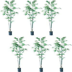 lHϗtA ou[ |bg 120i6j992560 ϗtA rOAItBXTCY CeA tFCNO[ GARDEN PLANT ip53j