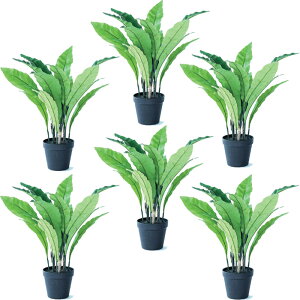 lHϗtA AXvjE |bg 45i6j992600 ϗtA A^̏uTCY CeA tFCNO[ POT INDOOR ip69j