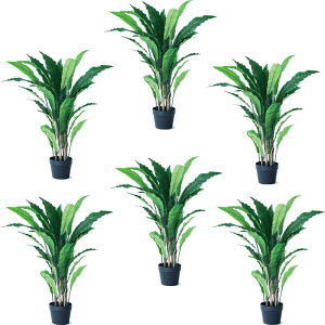 lHϗtA AXvjE |bg 90i6j992610 ϗtA A^̏uTCY CeA tFCNO[ POT INDOOR ip69j