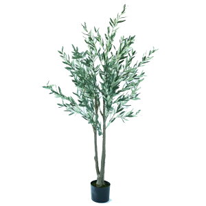 lHϗtA I[u |bg 180i1j992651 ؃|bg ցALԃTCY CeA tFCNO[  GARDEN PLANT ip11j