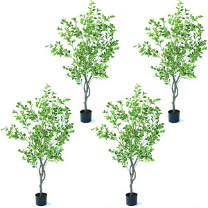 lHϗtA xW~ |bg 150i4j992660 ؃|bg ցALԃTCY CeA tFCNO[  GARDEN PLANT ip37j