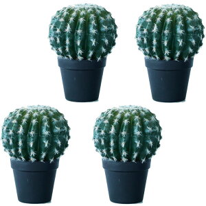 lHϗtA ʃT{e |bg 24i4j992770 T{e TCY CeA tFCNO[  CACTUS ip109j