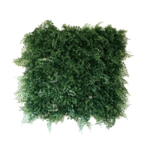 lHϗtA O[EH[50 FEi1j992800 ǖʗΉ EH[O[ CeA tFCNO[  GREEN WALL ip7j