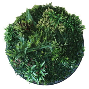 lHϗtA O[EH[Eh 100i1j992880 ǖʗΉ EH[O[ CeA tFCNO[  GREEN WALL ip7j