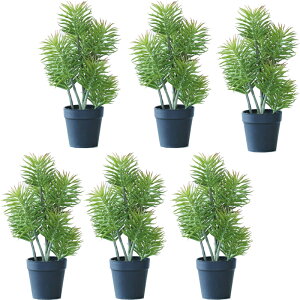 lHϗtA ZlVI |bg 30i6j992930 A TCY CeA tFCNO[  POT SUCCULENT ip93j