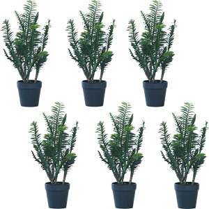 lHϗtA yfBTX |bg 38i6j992940 A A^̏uTCY CeA tFCNO[  POT SUCCULENT ip93j