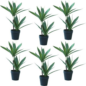 lHϗtA bJ |bg 38i6j992960 ؃|bg A^̏uTCY CeA tFCNO[  POT INDOOR ip87j