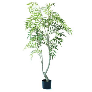 lHϗtA }zjA Rt[T |bg 150i1j992970 ؃|bg ցALԃTCY CeA tFCNO[  GARDEN PLANT ip21j