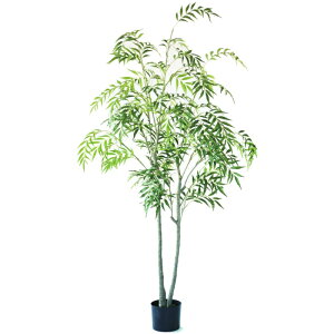 lHϗtA }zjA Rt[T |bg 180i1j992980 ؃|bg ցALԃTCY CeA tFCNO[  GARDEN PLANT ip21j