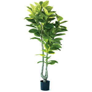 lHϗtA tBJX AeV} |bg 190i1j993030 ؃|bg ցALԃTCY CeA tFCNO[ GARDEN PLANT ip25j