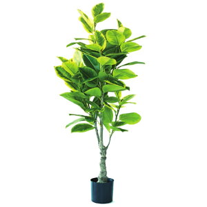 lHϗtA tBJX AeV} |bg 175i1j993040 ؃|bg ցALԃTCY CeA tFCNO[ GARDEN PLANT ip25j