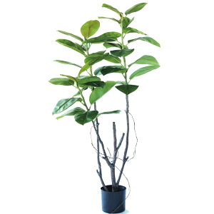 lHϗtA tBJX \tBA |bg 140i1j993070 ؃|bg rOAItBXTCY CeA tFCNO[ GARDEN PLANT ip30j