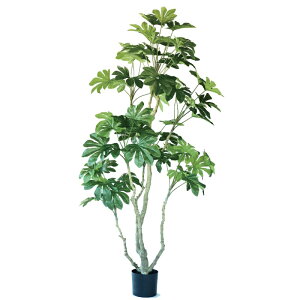 lHϗtA cf |bg 190i1j993100 ؃|bg ցALԃTCY CeA tFCNO[  GARDEN PLANT ip13j