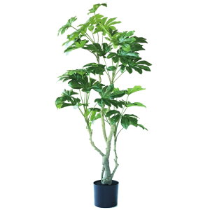 lHϗtA cf |bg 145i1j993110 ؃|bg rOAItBXTCY CeA tFCNO[  GARDEN PLANT ip13j