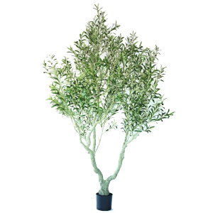 lHϗtA I[u |bg 230i1j993120 ؃|bg ցALԃTCY CeA tFCNO[  GARDEN PLANT ip9j