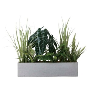 lHϗtA tZbg `v^[iOCj /OX~bNXvci1Zbgjbs004h vXX^C ցALԃTCY CeA tFCNO[  BROWN+style ip167j