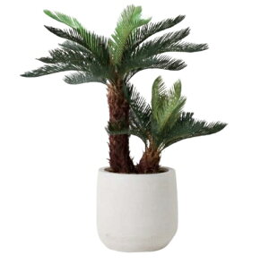 lHϗtA tZbg x|bgiItzCgj /\eci1Zbgjbs017w vXX^C rOAxeTCY CeA tFCNO[  BROWN+style ip174j