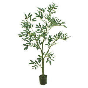 �l�H�ϗt�A�� �I���[�u�c���[�|�b�g 4F ����120cm �iP222) �ifg3920) �i������s�j �C���e���A�O���[�� �t�F�C�N�O���[��