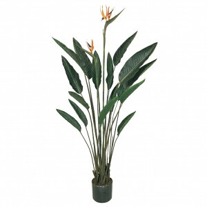 lHϗtA Xg`Avg 140cm iP227) ifg7416) isj CeAO[ tFCNO[