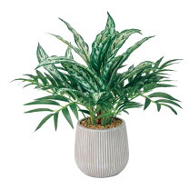 楽天市場】アグラオネマ（人工観葉植物｜造花・人工観葉植物）：花 