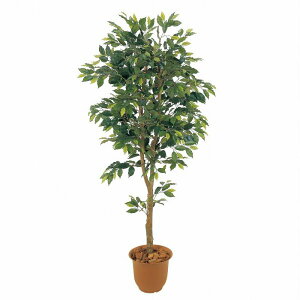 lHϗtA xW~tBJX 180cm 180cm iP231) isk1028) isj CeAO[ tFCNO[