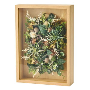 tFCNO[ O[t[ L A[eBtBVt[ 30cm iP245) iza3025) isj t[AWg