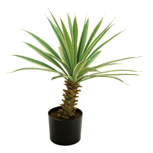 �l�H�ϗt�A�� ���b�J �|�b�g �Ǔ��� ���G�}���H ����70cm �iP226) �izv292) �i������s�j �C���e���A�O���[�� �t�F�C�N�O���[��