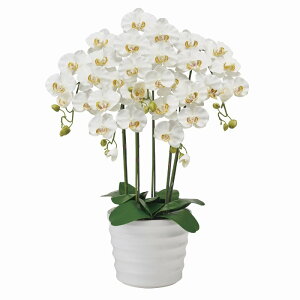 tFCNO[ sAI[Lbh5{ it@mj N[zCg G}H 72cm iP239) izv6500w) isj  Ӓ