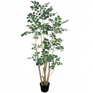 �l�H�ϗt�A�� �|���V���X �|�b�gL ���G�}���H ����200cm �iP223) �izv88208) �i������s�j �C���e���A�O���[�� �t�F�C�N�O���[��