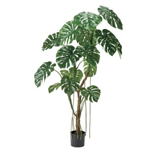 �l�H�ϗt�A�� �����X�e�� �|�b�g ����180cm �iP226) �ifg1551) �i������s�j �C���e���A�O���[�� �t�F�C�N�O���[��