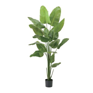 �l�H�ϗt�A�� �X�g�����`�A �W���C���g �|�b�g ����210cm �iP227) �ifg1553) �i������s�j �C���e���A�O���[�� �t�F�C�N�O���[��