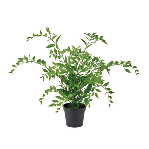 lHϗtA C^AXJX |bg 45cm iP214) ifg931) isj CeAO[ tFCNO[