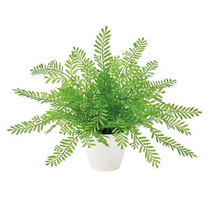 lHϗtA V_ |bg 25cm iP209) ifz9202) isj CeAO[ tFCNO[