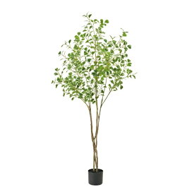 人工観葉植物 ファイカスツリー ポット 光触媒加工 高さ160cm （P222) （zv121) （代引き不可） インテリアグリーン フェイクグリーン