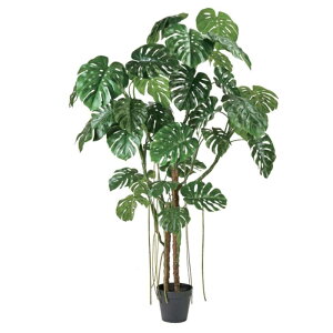 �l�H�ϗt�A�� �����X�e�� �W���C���g �|�b�g ���G�}���H ����240cm �iP226) �izv1550) �i������s�j �C���e���A�O���[�� �t�F�C�N�O���[��